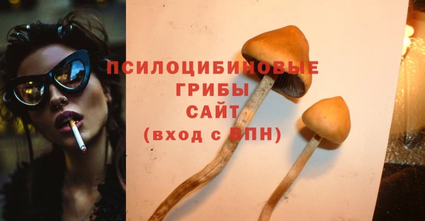 гашик Лихославль
