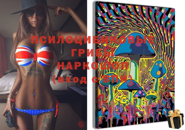 spice Липки