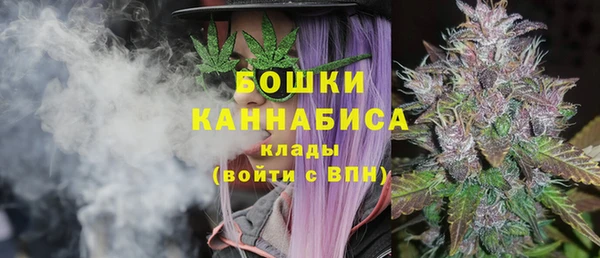 гидра Лиски