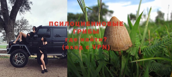 spice Липки