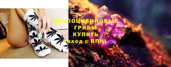 гидра Лиски