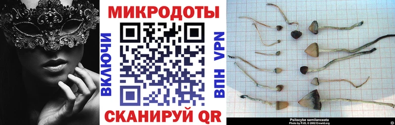 Галлюциногенные грибы GOLDEN TEACHER  Михайловск 
